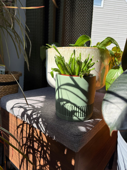 Earthy Planter