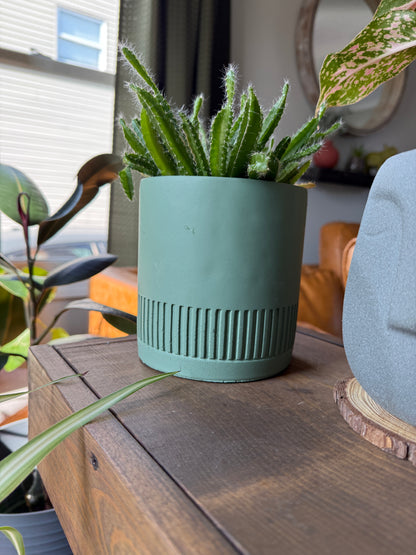 Earthy Planter